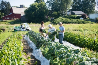 One of the farms at Green Mountain College in Vermont, a learning laboratory for sustainability innovation for more than two decades.