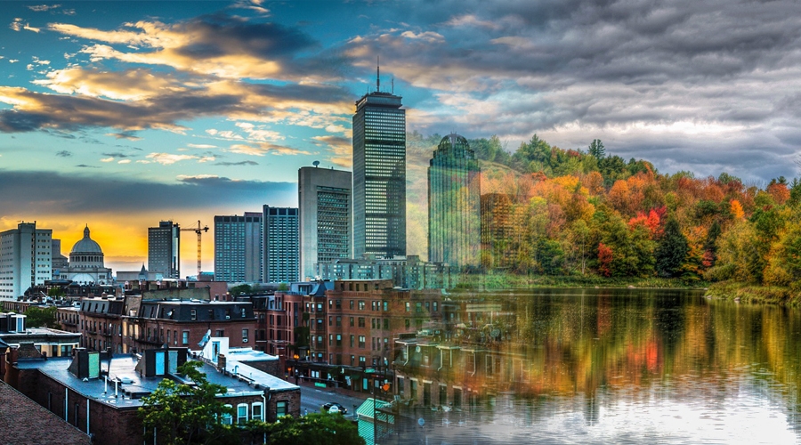 City and Forested landscape