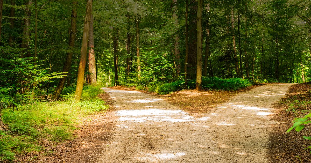 Upcoming E-Panel Discussion: Coronavirus at the Crossroads of Faith and Science