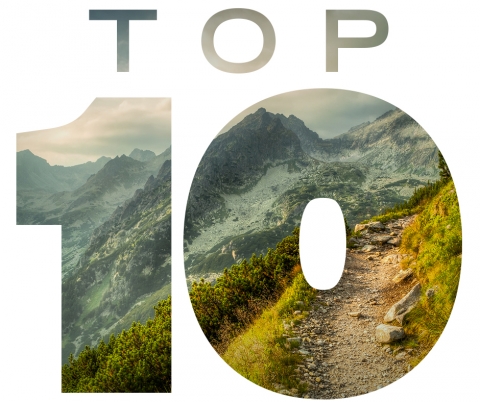 Top 10 Most Important Leadership Competencies