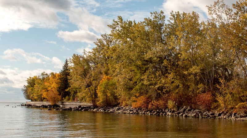 Monday Reflections: Song for Autumn