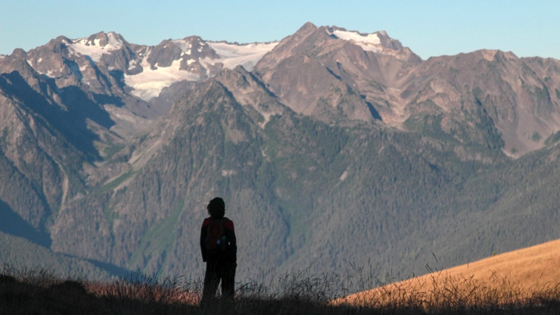 Reflections for Lent 2026: From Aspiration to Inspiration