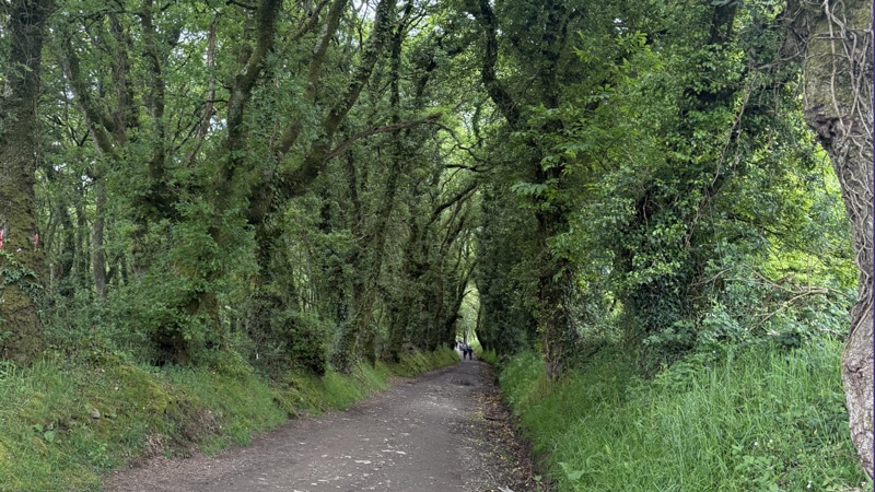 Monday Reflections: I Was My Own Route