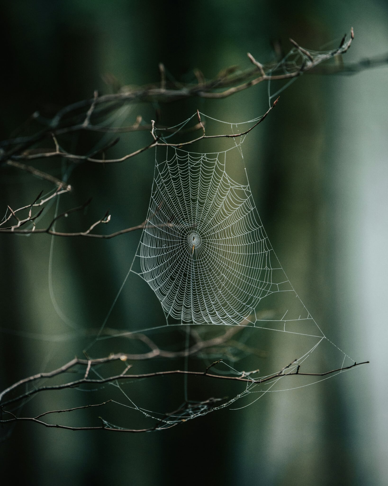 Photo by Tamas Tuzes-Katai on UnsplashPhoto by Tamas Tuzes-Katai on Unsplash